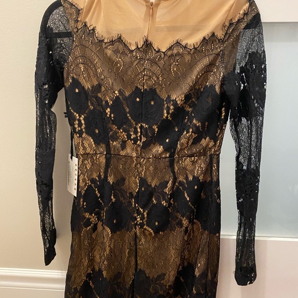 Mini Lace Dress - Picture 2 of 3